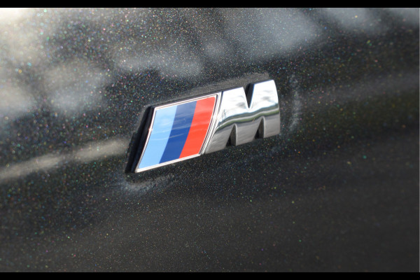 BMW 3 Serie 318i M-Sport Business / Pano-Schuifdak / 19" LMV / Verwarmb. stoelen / Privacy glas / Parking pack