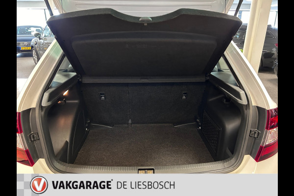 Škoda Rapid Spaceback 1.2 TSI Greentech Drive/Panorama-dak/Navigatie/pdc/stoelverwarming