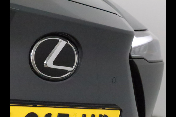 Lexus RZ 450e Executive Line Premium Pack *DEMO* | 20" lichtmetalen velgen | SONIC GREY Metallic
