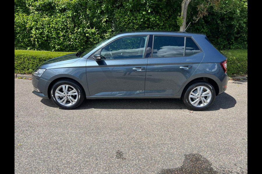 Škoda Fabia 1.0 TSI Online Edition / Apple Carplay / parkeer sensoren