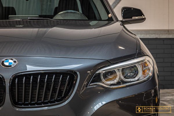BMW 2 Serie Coupé 228i|Harman en Kardon|NW APK|Garantie|1e e