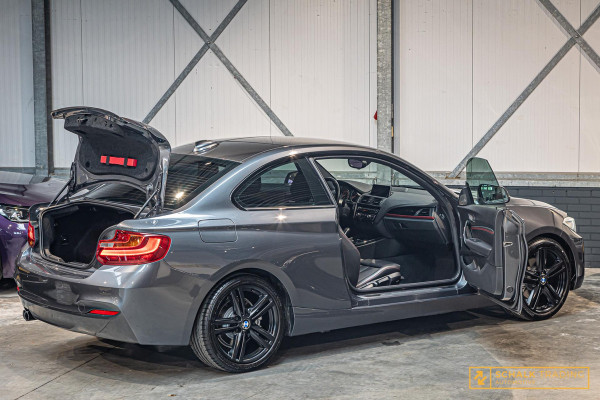 BMW 2 Serie Coupé 228i|Harman en Kardon|NW APK|Garantie|1e e