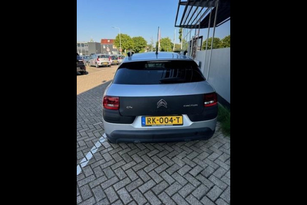 Citroën C4 Cactus 1.2 PureTech Business Plus