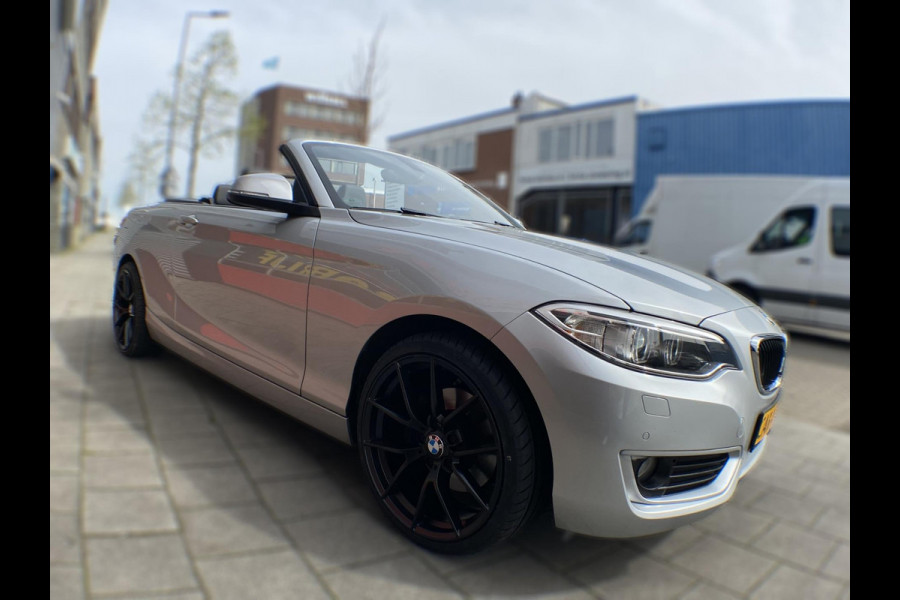 BMW 2 Serie Cabrio 220i Executive - Navigatie I Airco I PDC I 1/2 Leer I "19" Sport velgen & Sport pakket I Dealer onderhouden