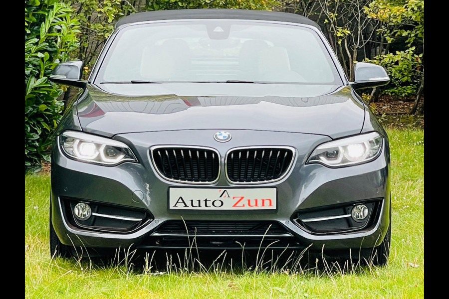 BMW 2 Serie Cabrio 230i High Executive/Navi/Leder(Bij 2020)