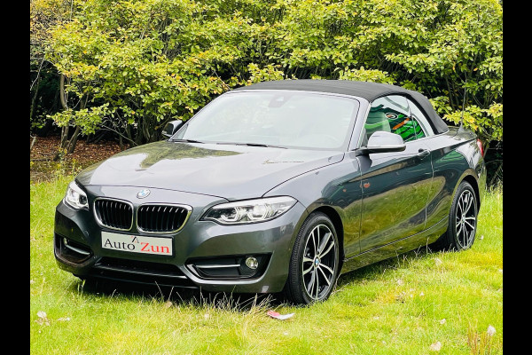 BMW 2 Serie Cabrio 230i High Executive/Navi/Leder(Bij 2020)