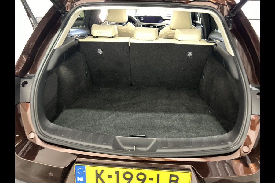 Lexus UX 300e Executive 54 kWh | Rondomzichtcamera | Verwarmde voorstoelen | Navigatie full map