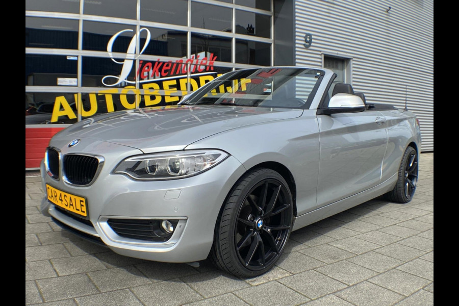 BMW 2 Serie Cabrio 220i Executive - Navigatie I Airco I PDC I 1/2 Leer I "19" Sport velgen & Sport pakket I Dealer onderhouden