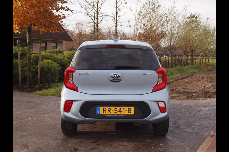 Kia Picanto 1.0 CVVT Design Edition | Camera | Apple Carplay | Cruise Control | 16 inch |