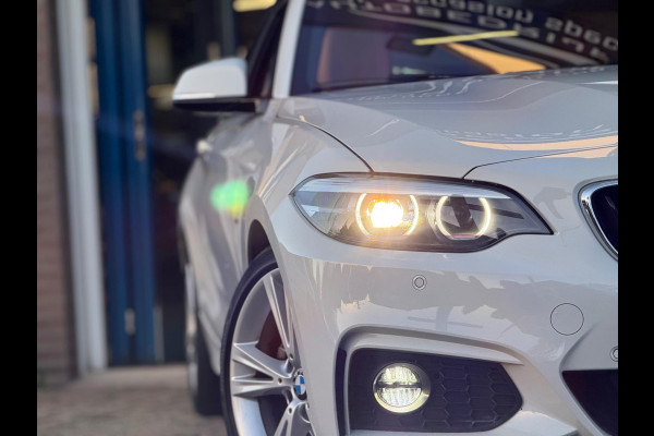 BMW 2 Serie Coupé 220i High Executive 2018 AUT NAVI DAK NAP!