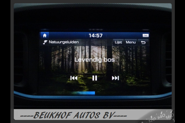 Hyundai IONIQ 1.6 GDi Premium Carplay Navi Leer Elek Dak Cam