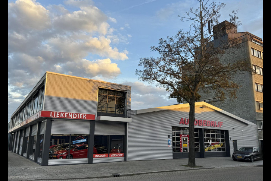 Citroën C4 Cactus 1.2e-THP PureTech Shine - Navigatie I Airco I PDC / Achteruitrij Camera I LED I Dealer onderhouden