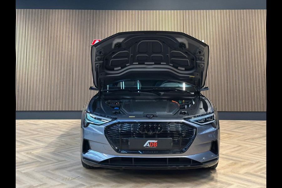 Audi e-tron E-tron 55 Quattro Pro Line Plus 95 kWh B&O Lucht