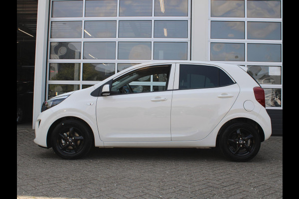 Kia Picanto 1.0 DPi BlackLine | 5-Pers. | Airco | Cruise | Bluetooth | Priv Glass | Black Gloss Velgen