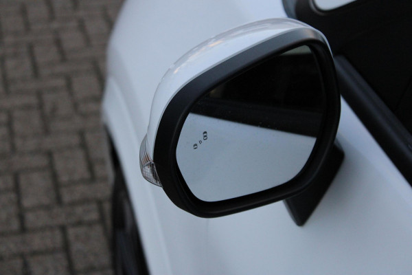 Ford Puma 1.0 EcoBoost ST-Line X 125pk | Adaptieve Cruise | BLIS | SYNC 3 Navigatie | 20 inch Licht metalen velgen