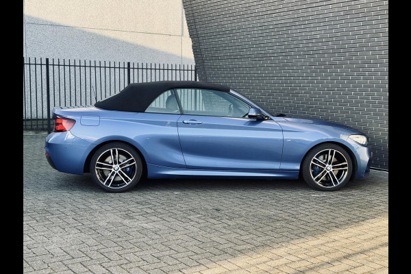 BMW 2 Serie Cabrio 220i High Executive Edition