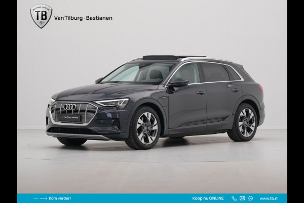 Audi e-tron e-tron 50 quattro Launch edition plus 71 kWh Panorama Trekhaak Leder Memory 21