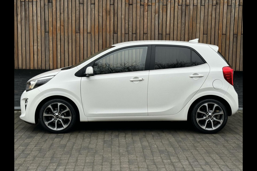 Kia Picanto 1.0 CVVT Design Edition | Leer | Cruise control | Navigatiesysteem | LED dagrijverlichting | Elektrische ramen | Lichtmetalen ve