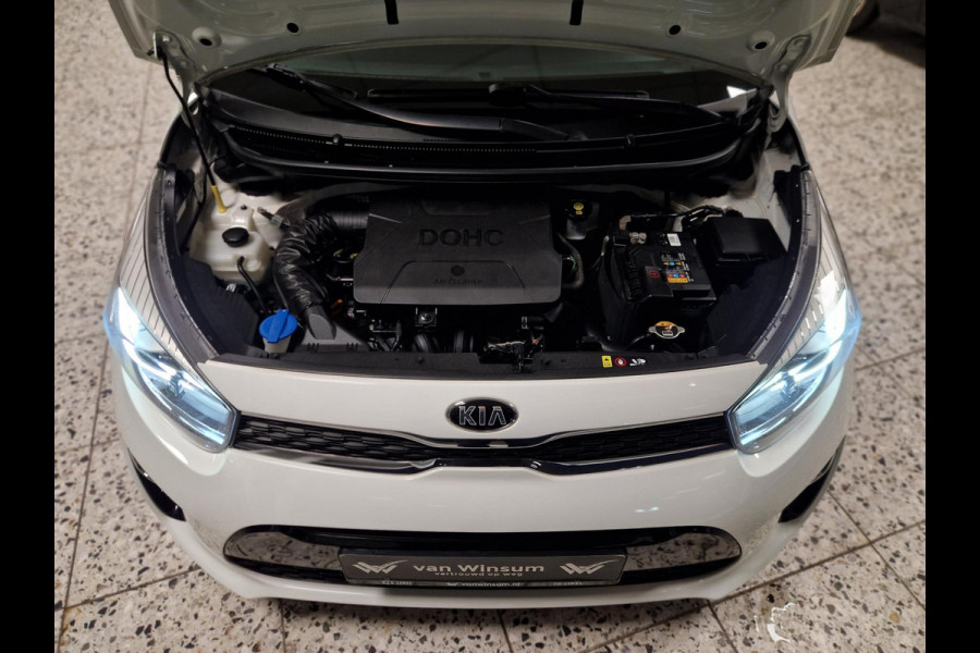 Kia Picanto 1.0 CVVT Design Edition | Navi | LED |