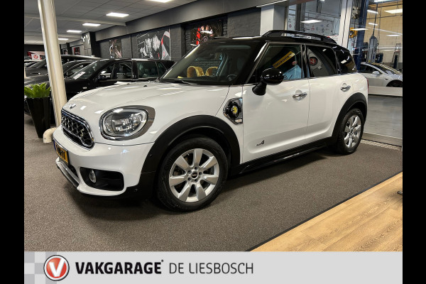 MINI Countryman 2.0 Cooper S E ALL4 Chili / Airco / PDC / Navigatie /