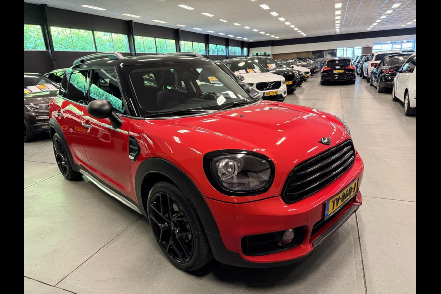 MINI Countryman 1.5 One Dutch Made Edition 19'' NAVI/CRUISE/ECC/PDC////