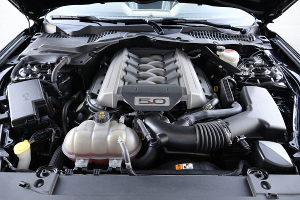 Ford Mustang Convertible 5.0 V8 GT | STOELKOELING/VERWARMING | BLACK PACK | CAMERA | CRUISE CONTROL | XENON | DAB |