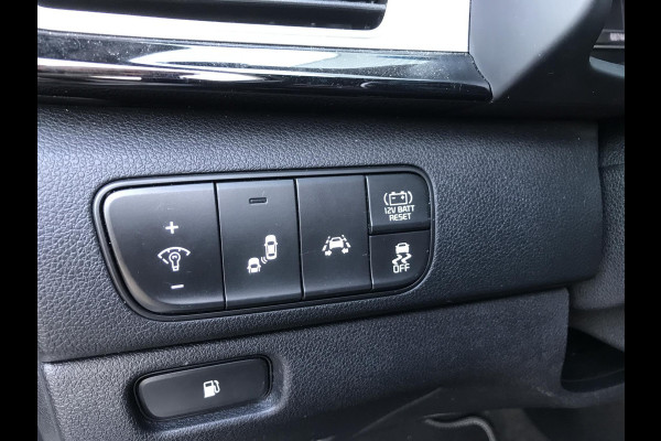 Kia Niro 1.6 Hybrid ExecutiveLine Trekhaak 7 JAAR GARANTIE
