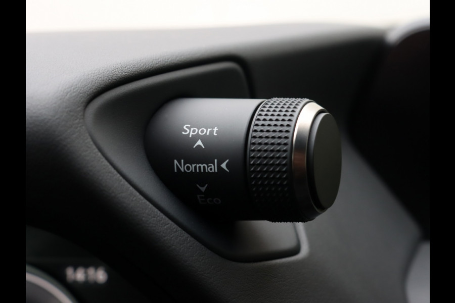 Lexus UX 250h Preference Line | Stoelverwarming | Parkeersensoren | Trekh