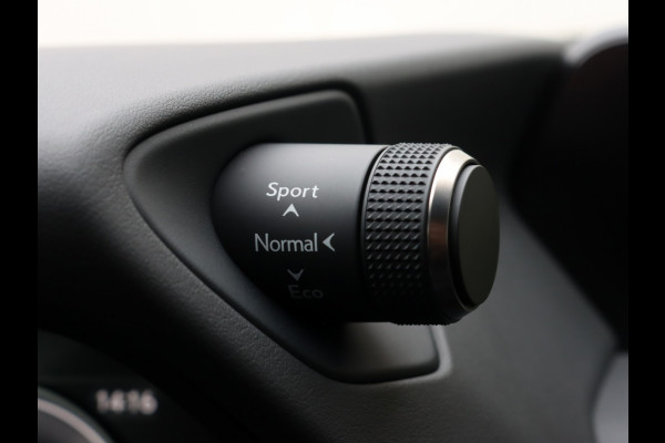 Lexus UX 250h Preference Line | Stoelverwarming | Parkeersensoren | Trekh
