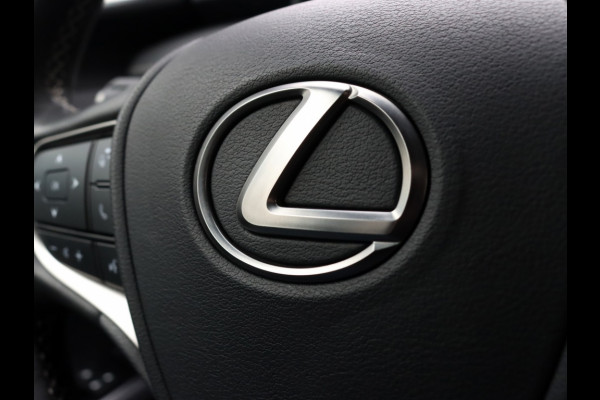 Lexus UX 250h Preference Line | Stoelverwarming | Parkeersensoren | Trekh