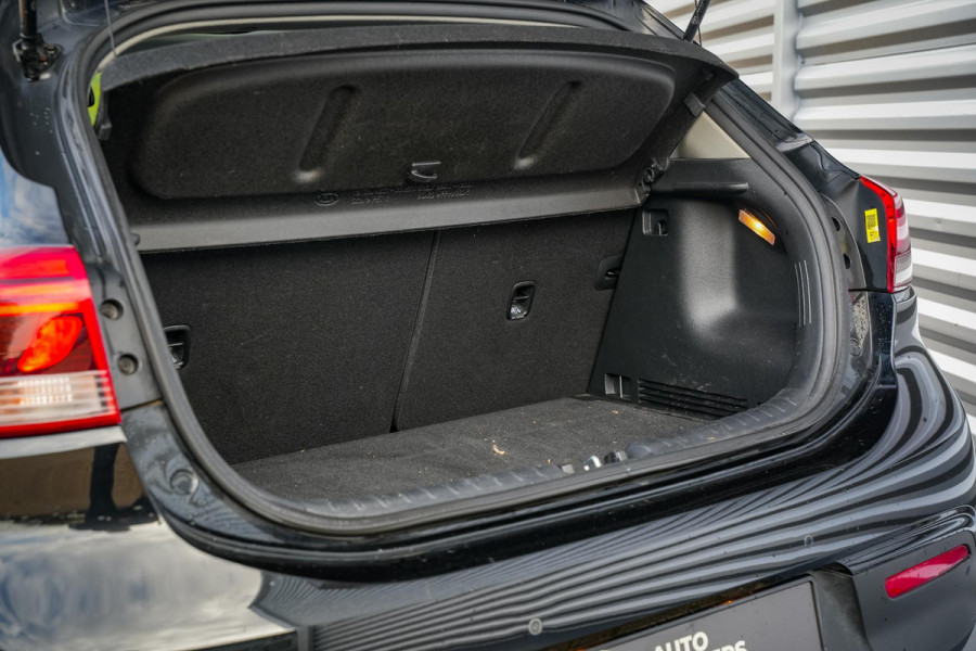 Kia Rio 1.0 TGDI Platinum Edition Camera Navi Keyless DAB+ Stoel Stuurverw. Leer