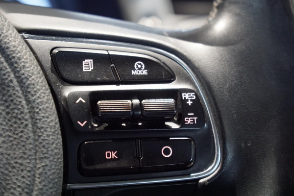 Kia Niro 1.6 GDi Hybrid First Edition + TREKHAAK / CAMERA /