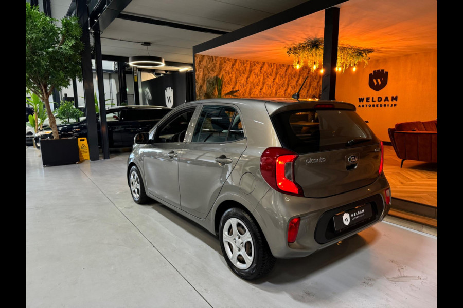 Kia Picanto 1.0 CVVT EconomyPlusLine NAP Bluetooth LED Rijklaar