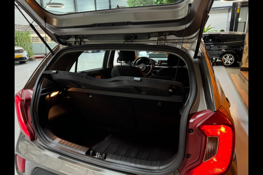 Kia Picanto 1.0 CVVT EconomyPlusLine NAP Bluetooth LED Rijklaar