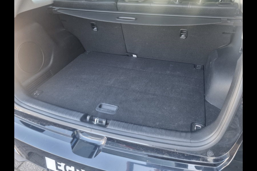Kia e-Niro ExecutiveLine 64 kWh