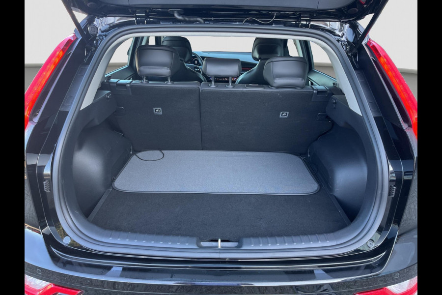 Kia Niro EV DynamicLine 64.8 kWh Automaat | Navi | Camera | Cruise | LMV | H-Leder |