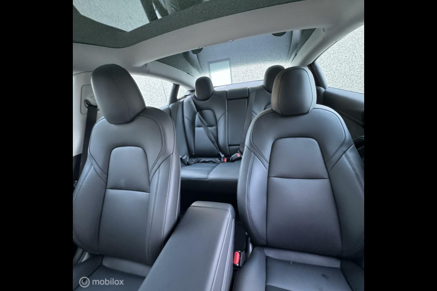 Tesla Model 3 Performance MiC AMD RYZEN MMX