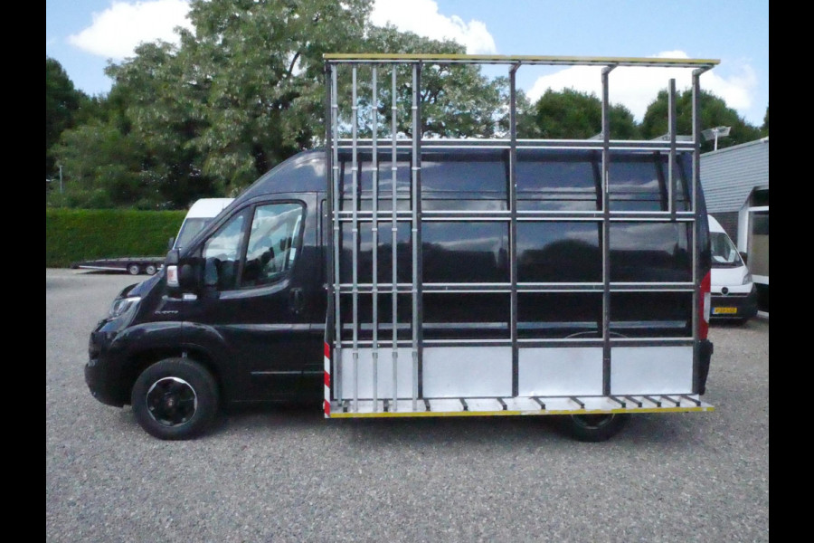 Fiat Ducato 2.3 MultiJet 130PK, L2H2, Airco, Glasresteel Prime Design, type 1019, 500 Kg max