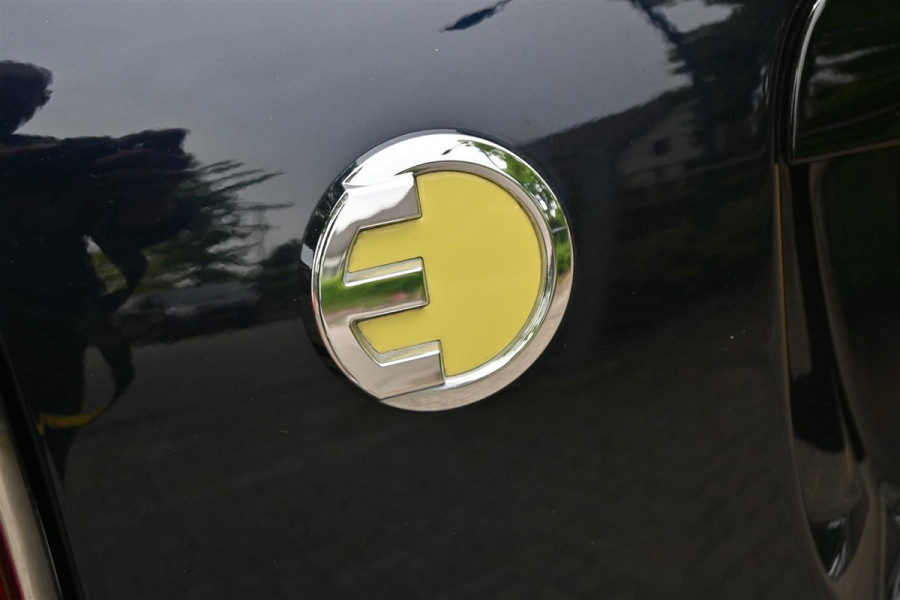MINI Countryman 2.0 Cooper S E ALL4 Chili Pano Yours Leder Sfeerlicht '19