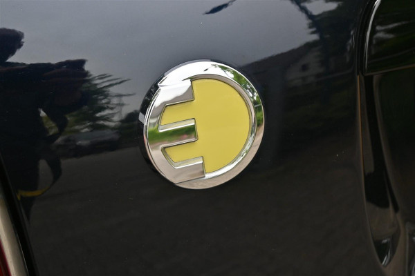 MINI Countryman 2.0 Cooper S E ALL4 Chili Pano Yours Leder Sfeerlicht '19