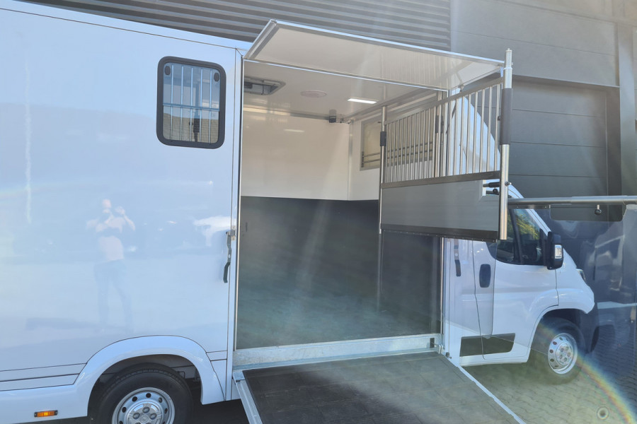 Opel Movano 2.2D 165 L3 3.5t Paardenwagen