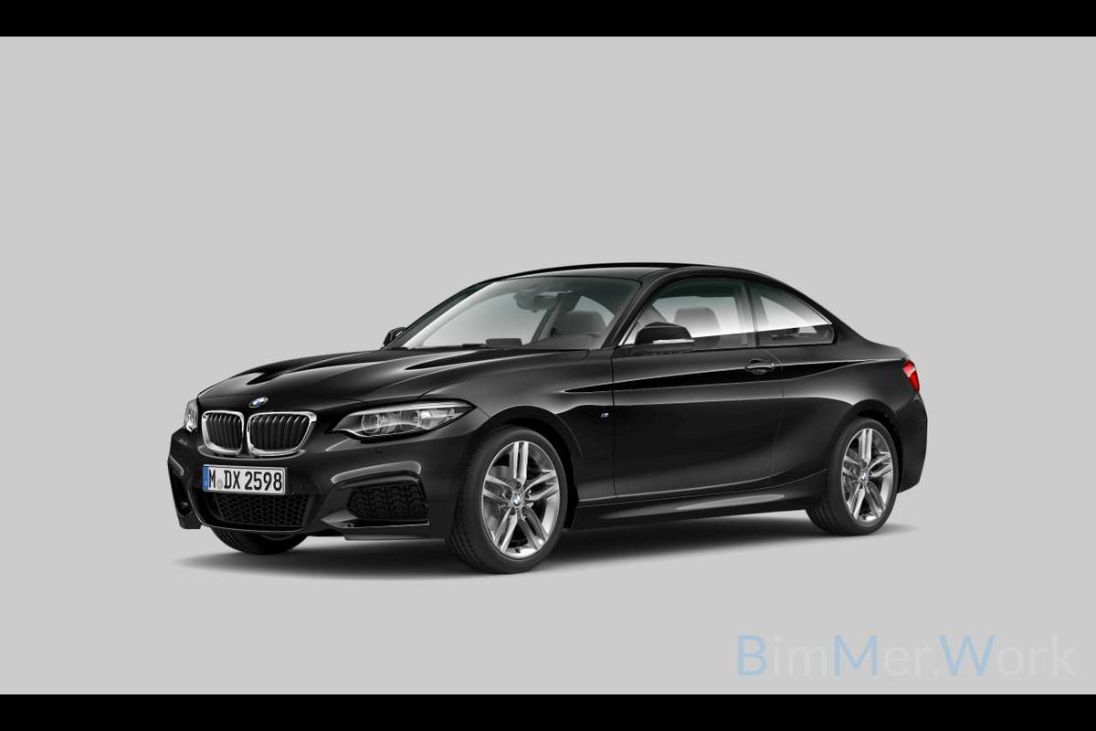 BMW 2 Serie Coupé 218i High Executive M Sport | M Performance | Stoelverwarming | Navigatie | Keyless | Camera | Cruise Control | DAB | HIFI | Parkeersensoren | Leer | Digital Dash | Automaat | NAP | Orig. NL | BTW