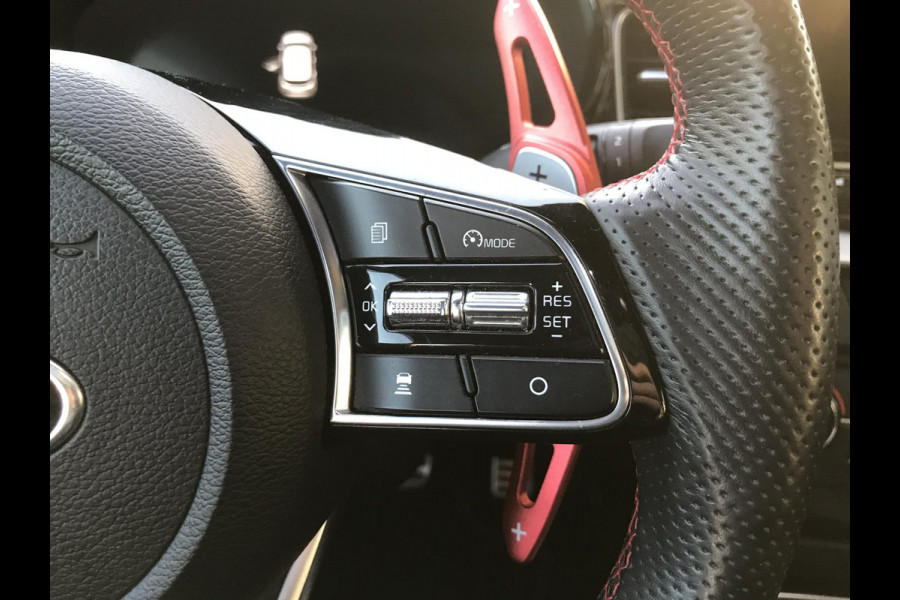 Kia ProCeed 1.6 GT 204PK Panoramadak 7 JAAR GARANTIE