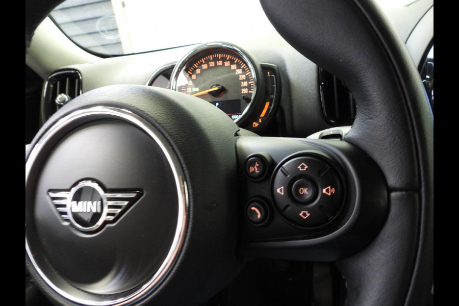 MINI Countryman 2.0 Cooper S E ALL4 Salt NAVI/CLIMA/CRUISE/LED/17"LMV!