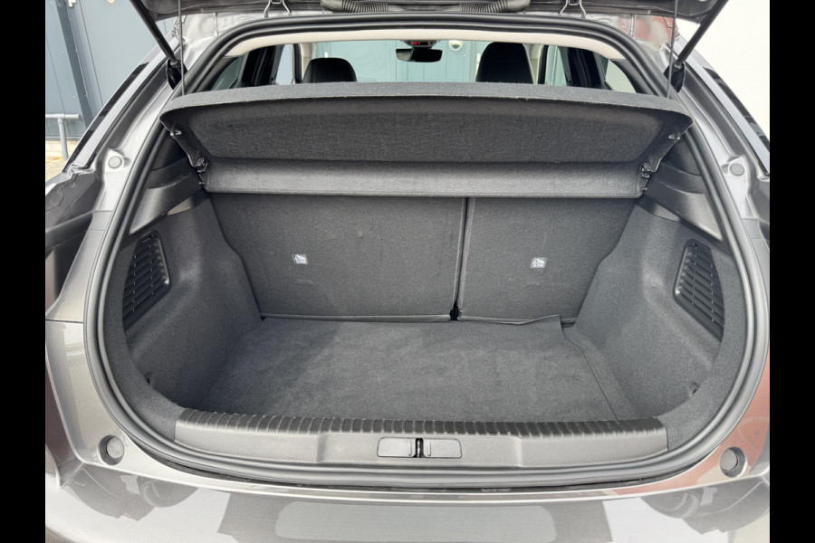 DS DS 3 1.2 PT130 EAT8 Performance Line | Pack Techno | Prijs is rijklaar