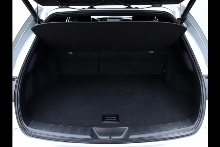 Lexus UX 250h F Sport Premium | Leder | Premium Audio | Stoelverwarming