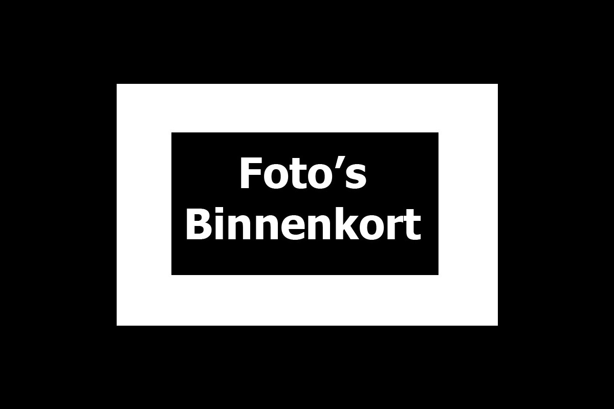 Seat Mii 1.0 5drs 1eEigenaar Navi PDC Airco Cruise Bluetooth BTW auto