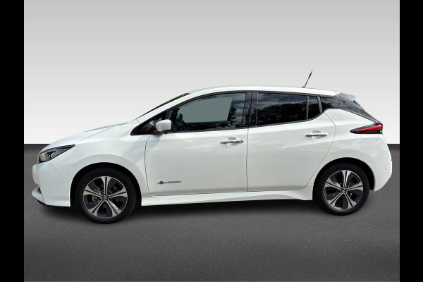 Nissan Leaf e+ Tekna 62 kWh Pro Pilot