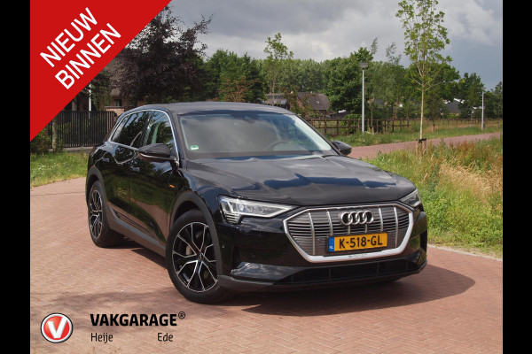 Audi e-tron 55 quattro edition 95 kWh | NL-Auto | Trekhaak | Parkeersensoren | DAB |