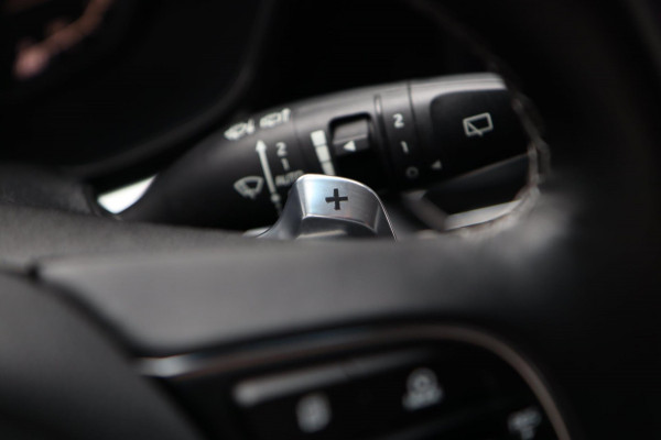 Kia Niro 1.6 GDI PHEV ExecutiveLine / KEYLESS / DODEHOEK / LEDER / CAMERA / JBL